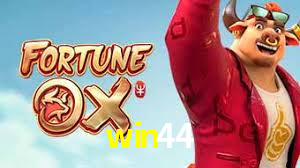 Daily Bonuses win44
